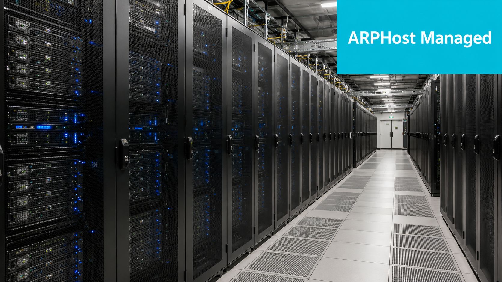 Rows of black server cabinets with blinking blue status lights in a modern, climate-controlled data center facility.